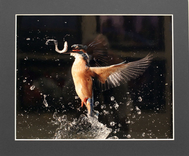 �ʐ^�� / ��|���`