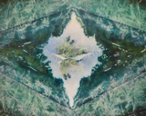 No.42/洋画部/マツダ賞/米田真善美